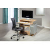 Bureau informatique contemporain Adamo