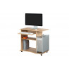 Bureau informatique contemporain Adamo