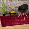 Tapis de salon vintage avec franges Press