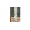 Armoire adulte contemporaine portes battantes 150 cm verre gris/chêne poutre Rotterdam I