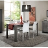 Table de salle à manger rectangulaire contemporaine coloris gris Fino