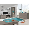 Meuble TV contemporain 1 porte/2 niches chêne gris Nero