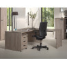 Caisson de bureau contemporain chêne clair