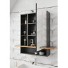 Armoire de toilette moderne chêne/graphite Oceline