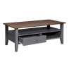 Table basse style campagne en pin massif gris Louisa