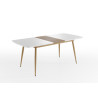 Table de salle à manger extensible style scandinave blanche Hayden