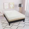 Matelas mousse HR hôtel Softel