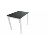 Bureau individuel fixe profondeur 60 cm Producteo