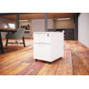 Caisson de bureau mobile P 59 cm Cosito