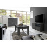 Meuble TV moderne 121 cm laqué gris brillant Milenor