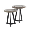 Tables d'appoint industrielles en teck massif gris Noeline (lot de 2)