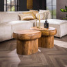 Table basse en bois de manguier massif naturel Rosalie (lot de 2)
