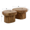 Table basse en bois de manguier massif naturel Rosalie (lot de 2)