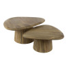 Tables basses en bois de manguier massif Horizon (lot de 2)
