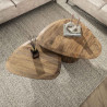 Tables basses en bois de manguier massif Horizon (lot de 2)
