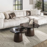 Table basse moderne métal et verre Elyptic (lot de 2)