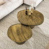 Table basse moderne métal et verre Elyptic (lot de 2)