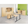 Amoire combinée de bureau avec support d'archives Londonien