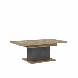 Table basse coffre moderne chêne/gris Ricciano