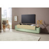 Meuble TV moderne 200 cm vert sauge/chêne Corso