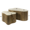 Tables basses en manguier massif et céramique Rocky (lot de 2)
