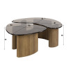 Tables basses modernes en verre fumé noir Timeo ( lot de 2)