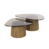 Tables basses triangulaires en verre fumé noir Timeo ( lot de 2)