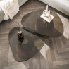 Tables basses triangulaires en verre fumé noir Timeo ( lot de 2)