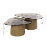 Tables basses triangulaires en verre fumé noir Timeo ( lot de 2)