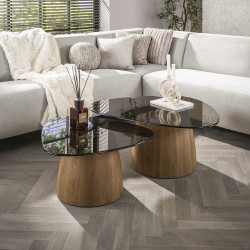 Tables basses triangulaires en verre fumé noir Timeo ( lot de 2)