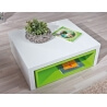 Table basse design en bois coloris blanc/vert Nolane