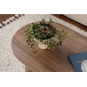 Table basse ovale contemporaine Sabine