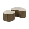 Tables basses style nature bois et céramique (lot de 2) Maddie