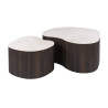 Tables basses style nature bois et céramique (lot de 2) Maddie