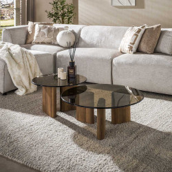 Tables basses moderne en verre fumé brun (lot de 2) Tina