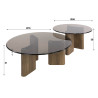 Tables basses moderne en verre fumé brun (lot de 2) Tina
