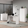 Armoire de bureau moderne H 166 cm blanc mat Essly