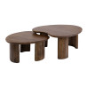 Tables basses style nature en acacia massif Monroe (lot de 2)