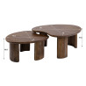 Tables basses style nature en acacia massif Monroe (lot de 2)