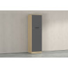 Colonne de cuisine moderne 60 cm anhtracite mat/chêne Louna