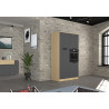 Colonne de cuisine moderne 60 cm anhtracite mat/chêne Louna