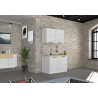 Meuble sous évier de cuisine moderne blanc brillant/chêne Louna