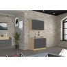 Meuble sous évier de cuisine moderne anthracite mat/chêne Louna