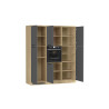 Cuisine complète moderne 3 éléments anthracite mat/chêne Louna