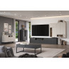 Meuble TV moderne 120 cm gris anthracite Belinda