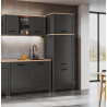 Colonne combinée pour frigo/congélateur chêne/anthracite Mylena
