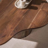 Table basse style nature en acacia massif brun Sandie