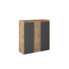 Buffet haut moderne anthracite mat/chêne wotan Ormel