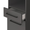 Colonne de buanderie 40 cm bac à linge anthracite mat Brenna