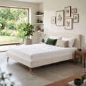 Matelas mousse haute r&eacute;silience HR 40 kg/m&sup3; d&eacute;houssable 19 cm Prairie